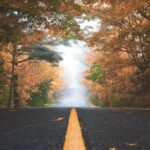 Gesund durch den Herbst