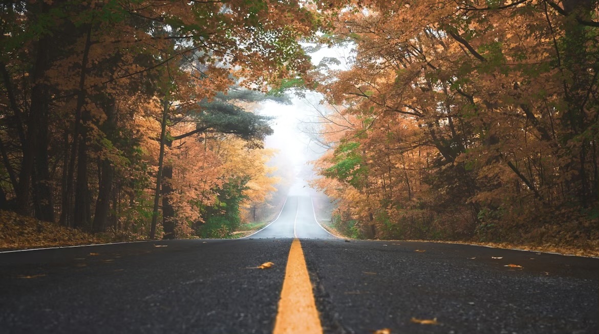 Gesund durch den Herbst