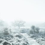 Winterzeit - Zeit der Stille