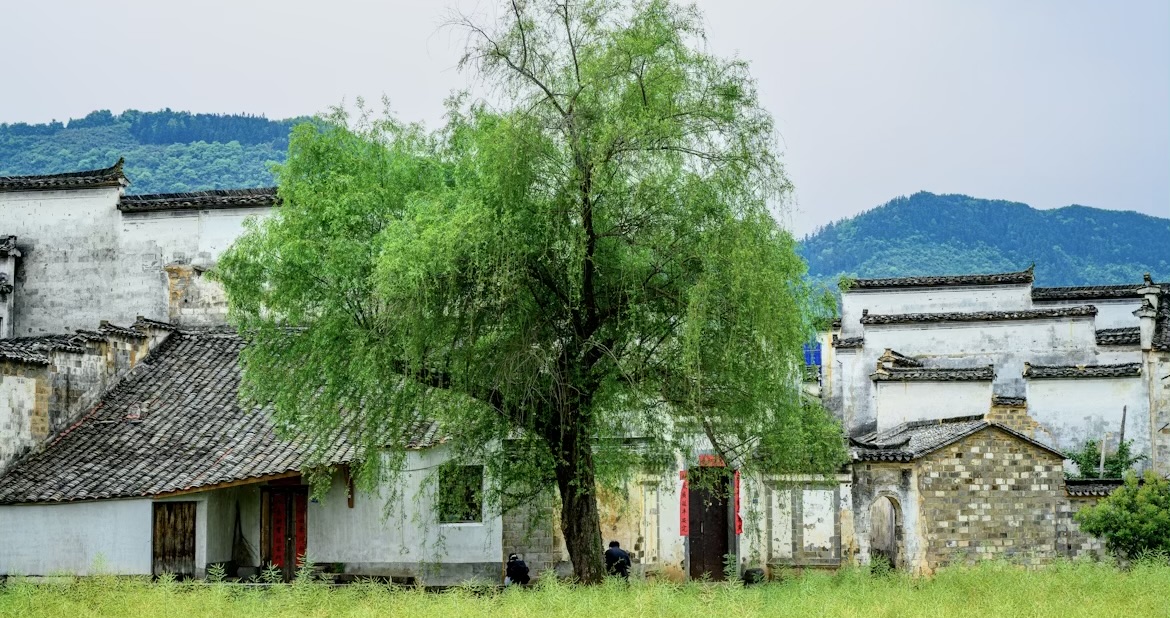 Warum sich Traditionelle Chinesische Medizin für jeden lohnt